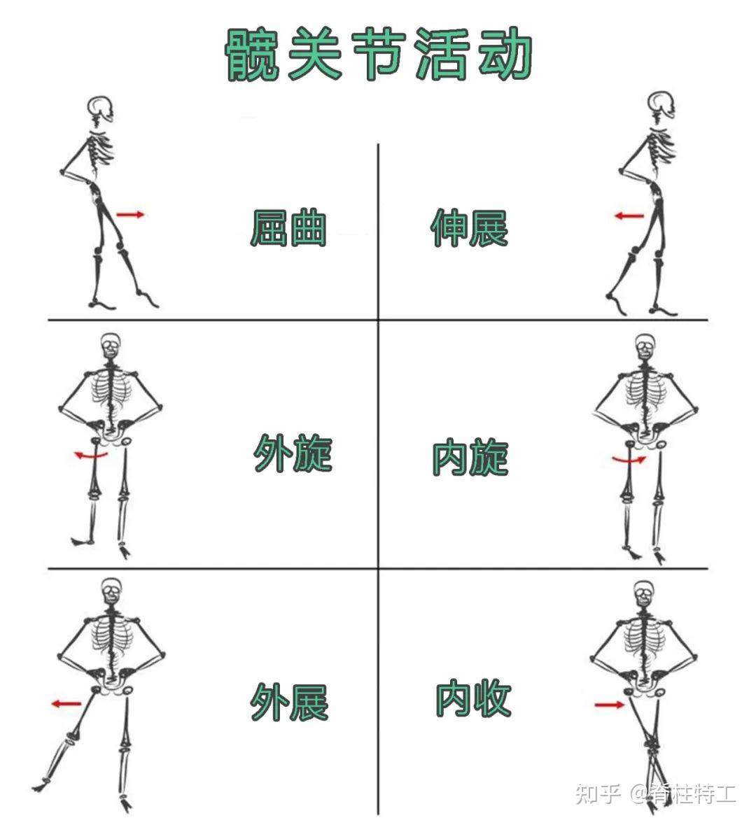你的骨盆好不好,关键看这个地方!