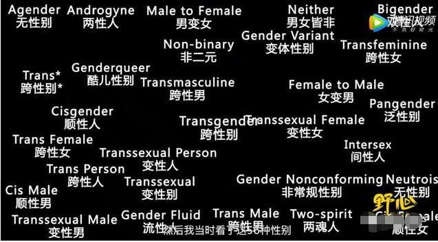 谁告诉你性别只分"男女"?这个世界上,存在你不了解的56种性别