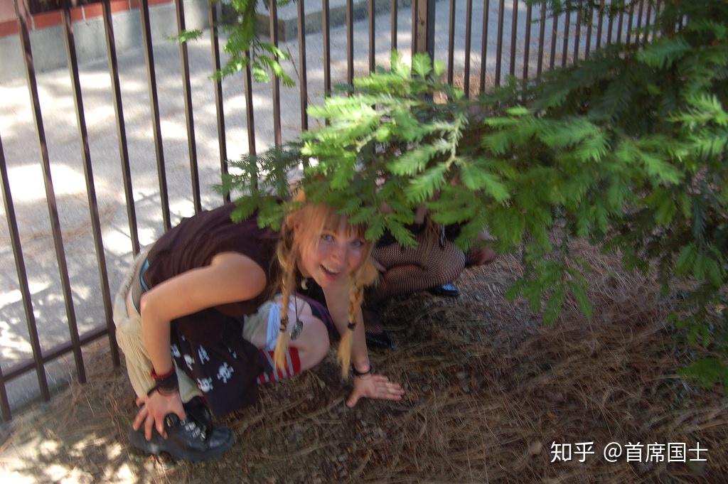 3随地大小便的欧洲人屎尿味的欧洲瑞典人竟拿自己的陋习骂中国多图