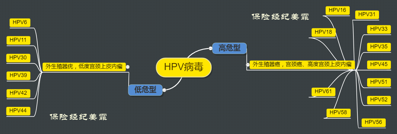 解析女性易患的重大疾病宫颈癌