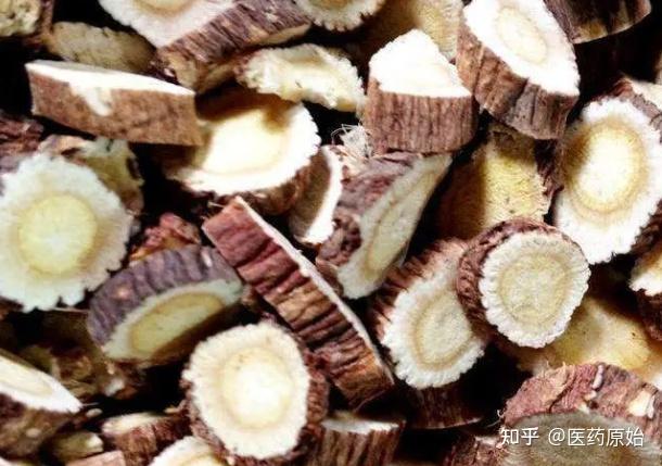带你识别红芪 - 知乎