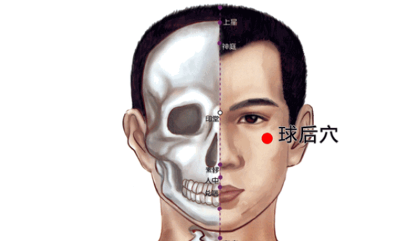27个经外奇穴，个个都有特殊的作用，个个都是穴位学中的高手 - 知乎