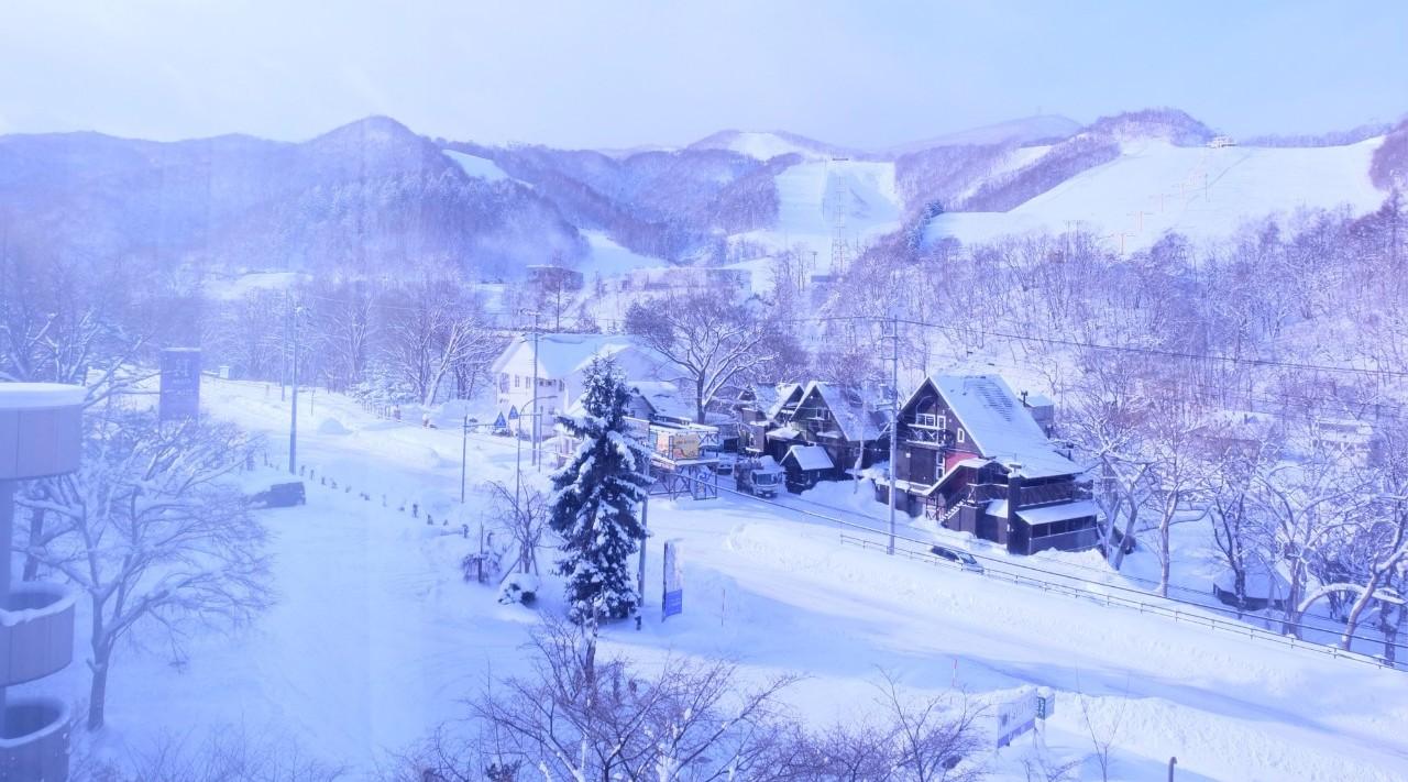 谁不想文艺又轻松地去一趟北海道 知乎