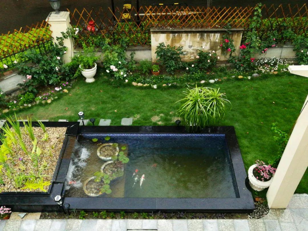 沼泽过滤的另类应用可以用来赚钱