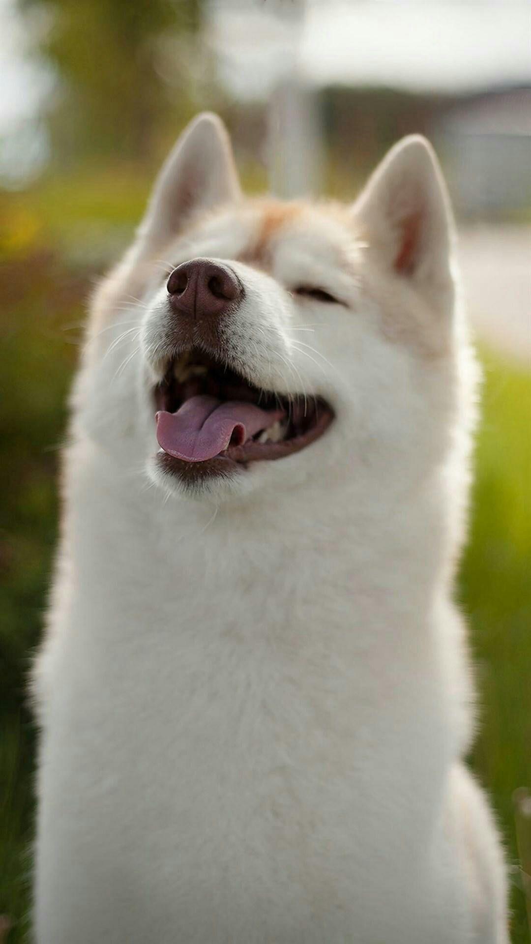 有哪些用了很久都不舍得换第一眼就非常喜欢的治愈系壁纸