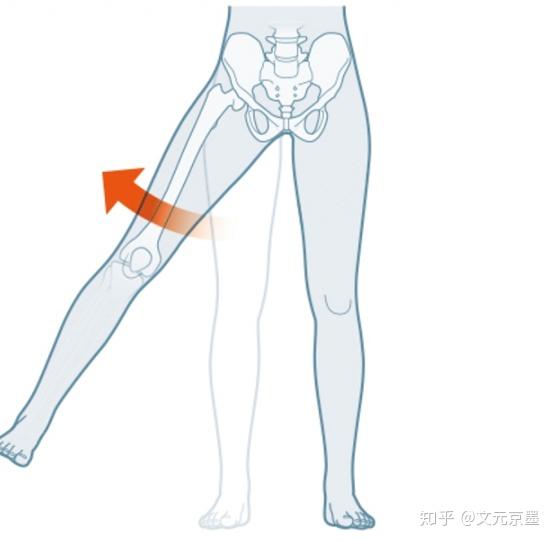 髖外展的動作大家都很熟悉◆◆被低估的髖外展肌群◆◆哎呀拿錯了拿錯