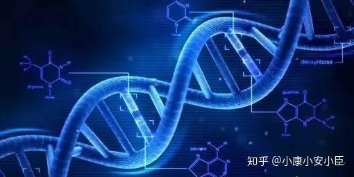 什么是中位生存期 v2-1009147226bb6426fec82e2c0f9b8816_r.jpg