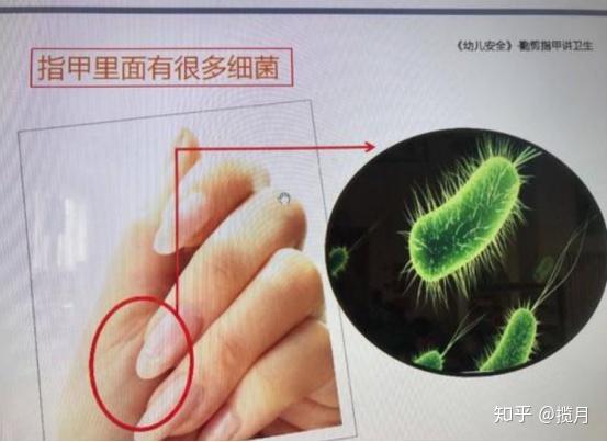 正常的洗头顺序是先用清水冲洗头发,把大部分附着的灰尘细菌等冲掉,再