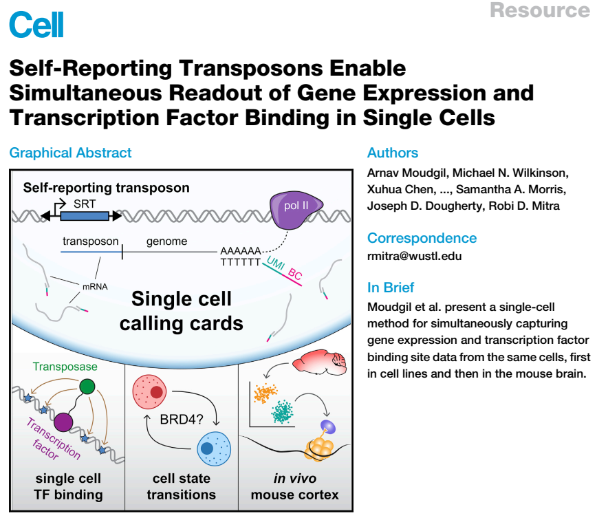 文献锦集| 7月单细胞测序高分文献汇总