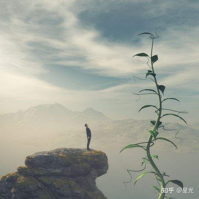 私域流量的定义:长远而忠诚的客户关系 - 知乎