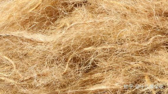 棉纤维与麻纤维有什么区别?如何快速区别麻纤维和棉纤维? - 知乎