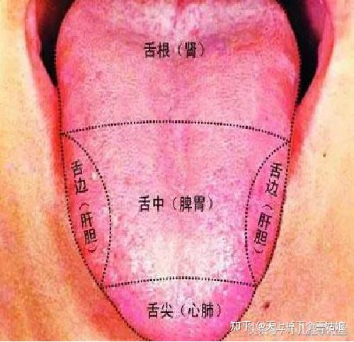 寶寶總生病怎麼辦學會看舌苔提前掌握疾病動態