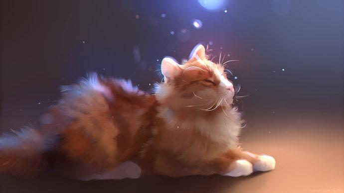 来撸猫!插画师画的小猫咪睡颜超可爱 - 知乎