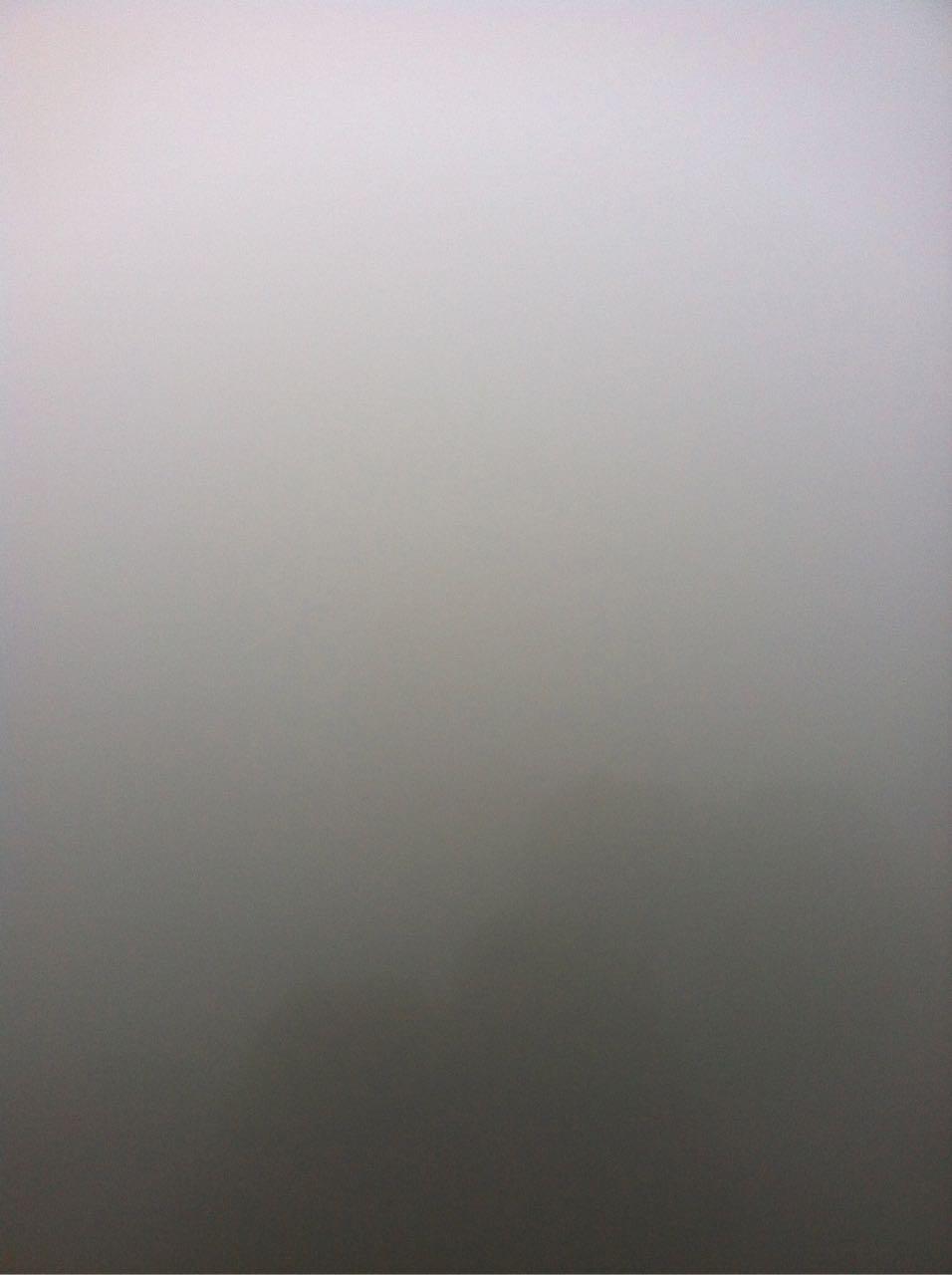 从《寂静的春天》到《硬绿》,并不仅仅只是从