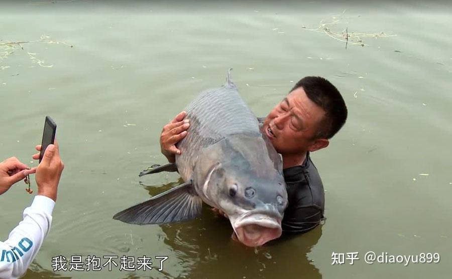 为什么游钓中国李大毛钓的鱼都那么大