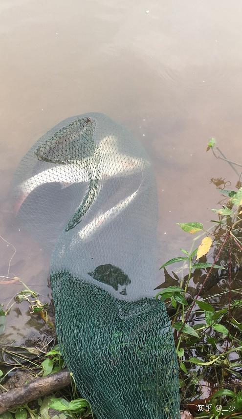 首先推荐光威清波鲤7米2