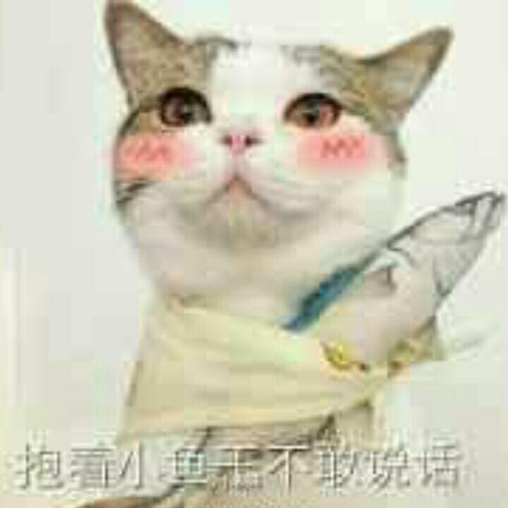 如何评价鹿门客的小说《人间无数雨打去》? -