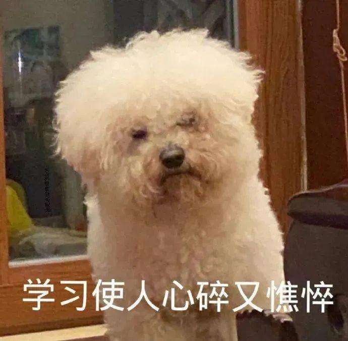 120张万能的表情包推荐-万能表情图片大全