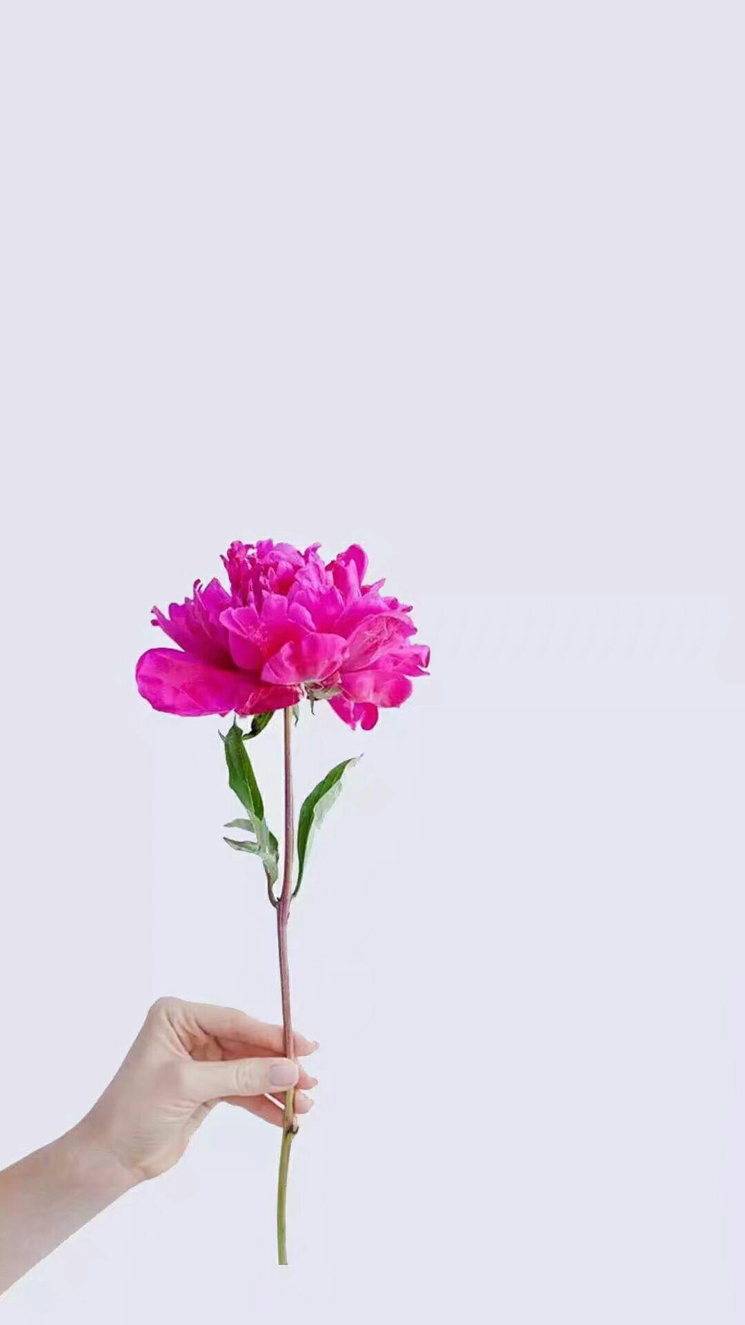 信息爆炸的时代,如何静心学习?