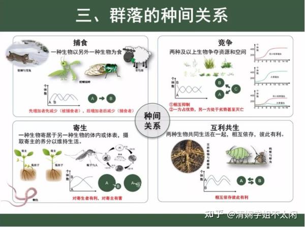 生物群落的组成与结构【生态学讲解作业】 - 知乎