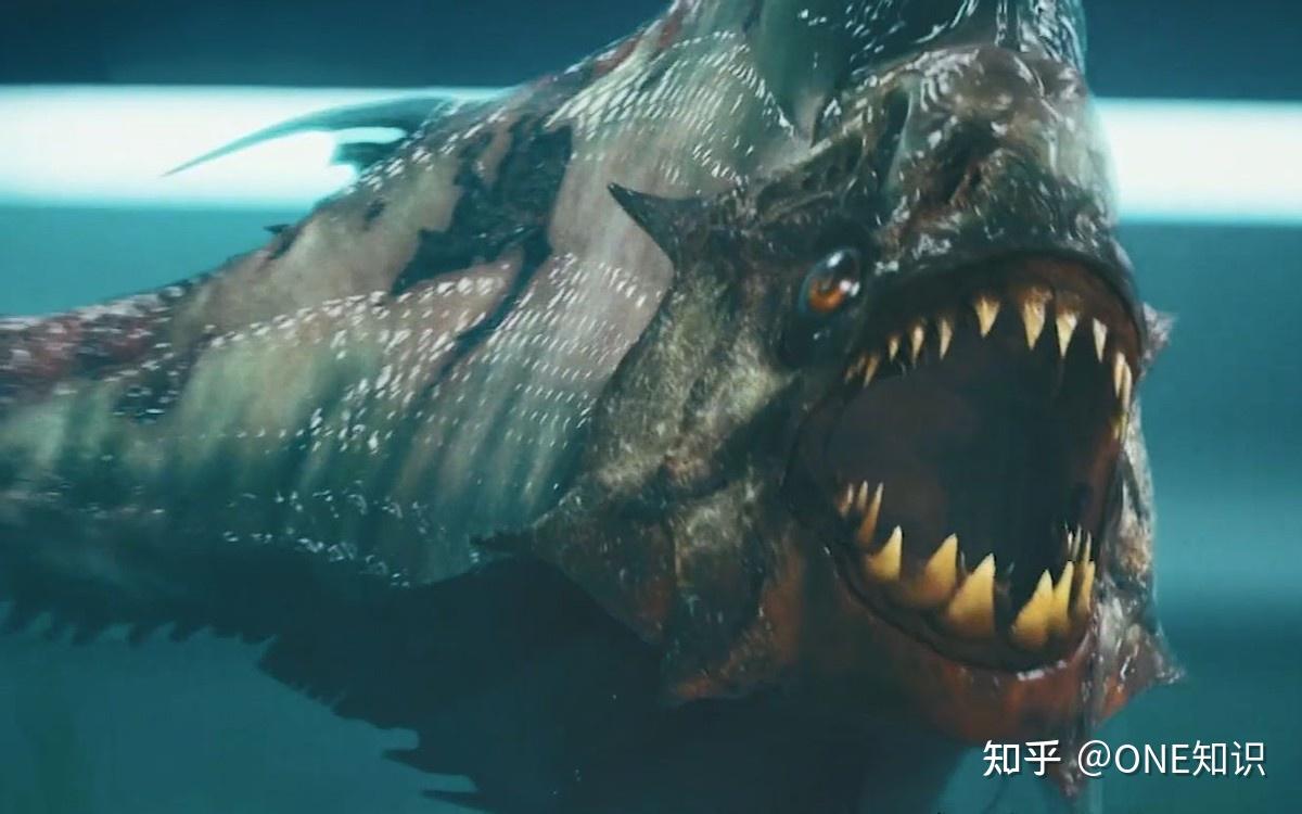 亚马逊雨林有多恐怖？为何被称为人类禁区，没人敢进，里面有什么- 知乎