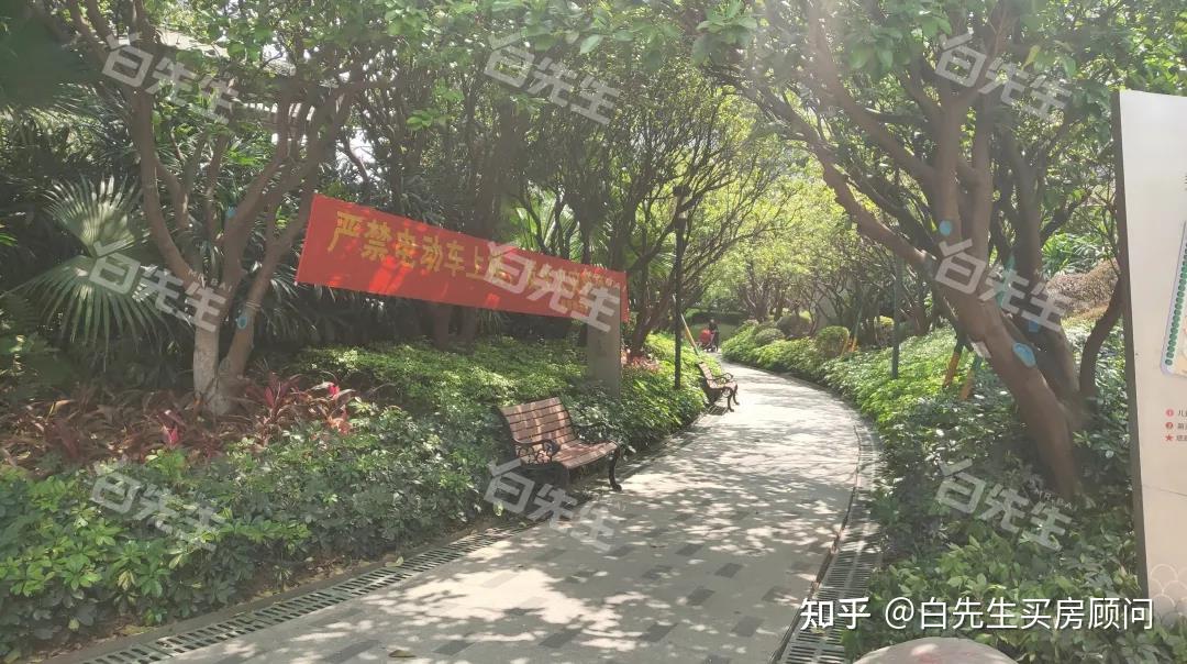 撑起龙华红山房价的深高北,学区内四大楼盘谁最强? - 知乎