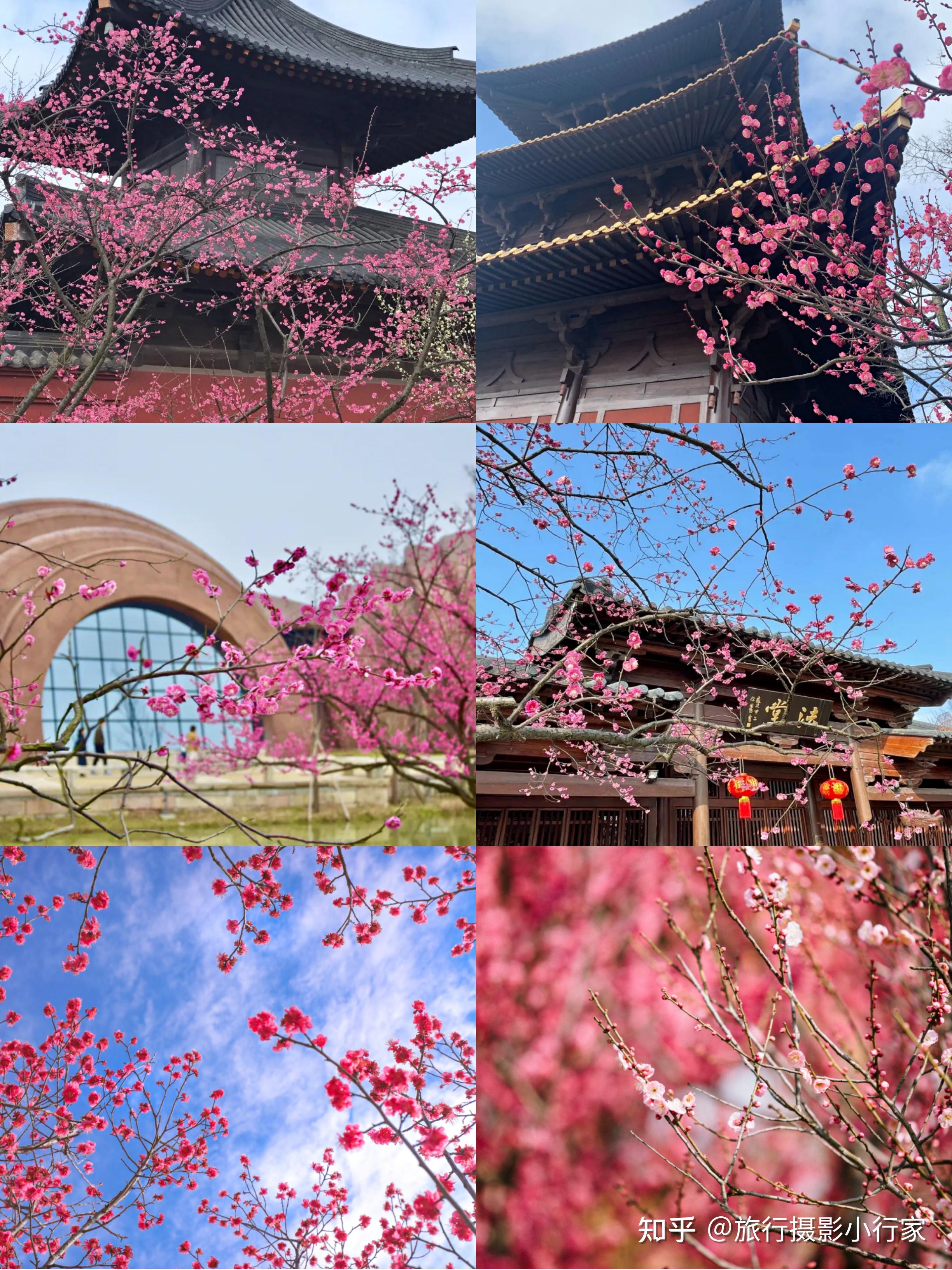 旅游风景区赏花攻略 v2-1081fa3a58ac26bb500e0331c1c5dd42_r.jpg