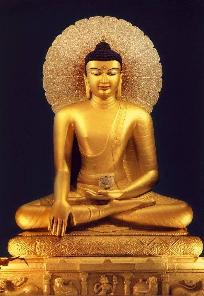 业力的形成与展现 - 知乎