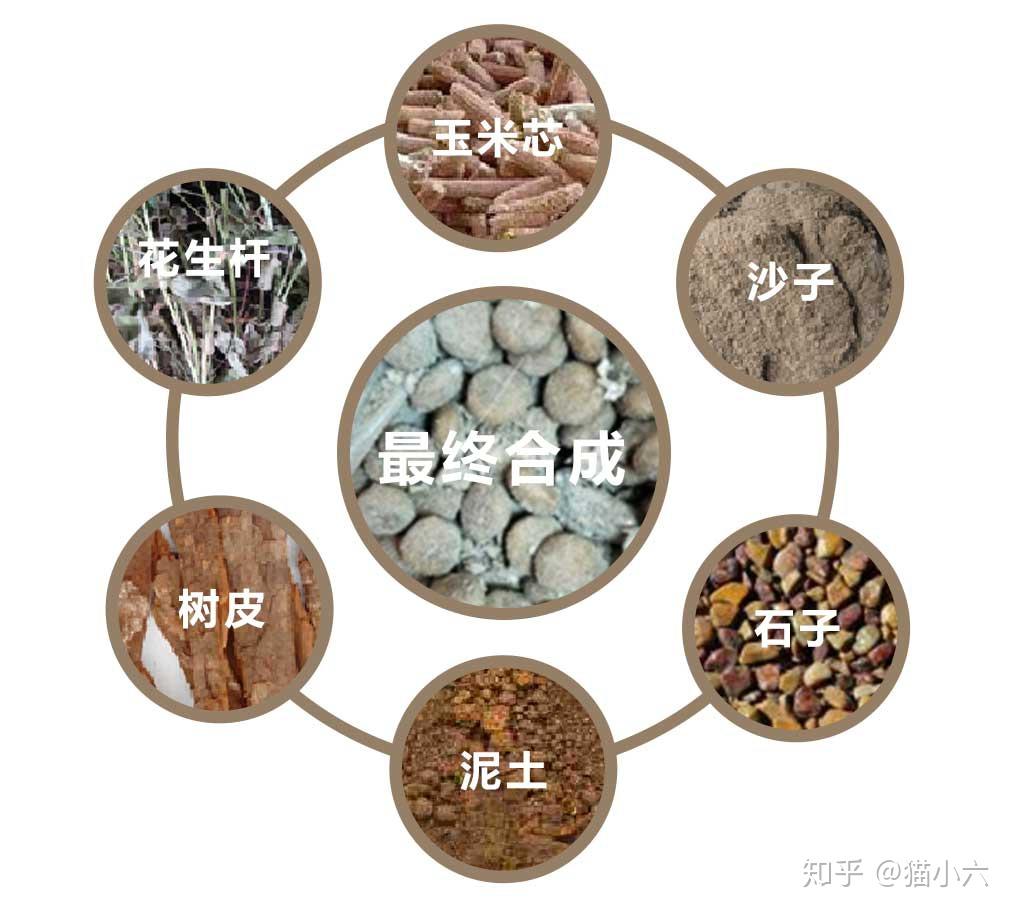 许愿仔猫粮怎么样?来自许愿仔创始人的肺腑之言