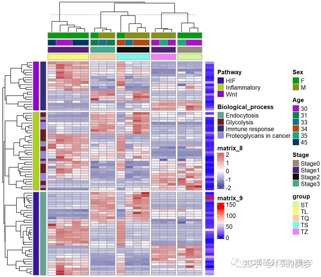 热图4：complexheatmap画复杂热图行列注释 知乎