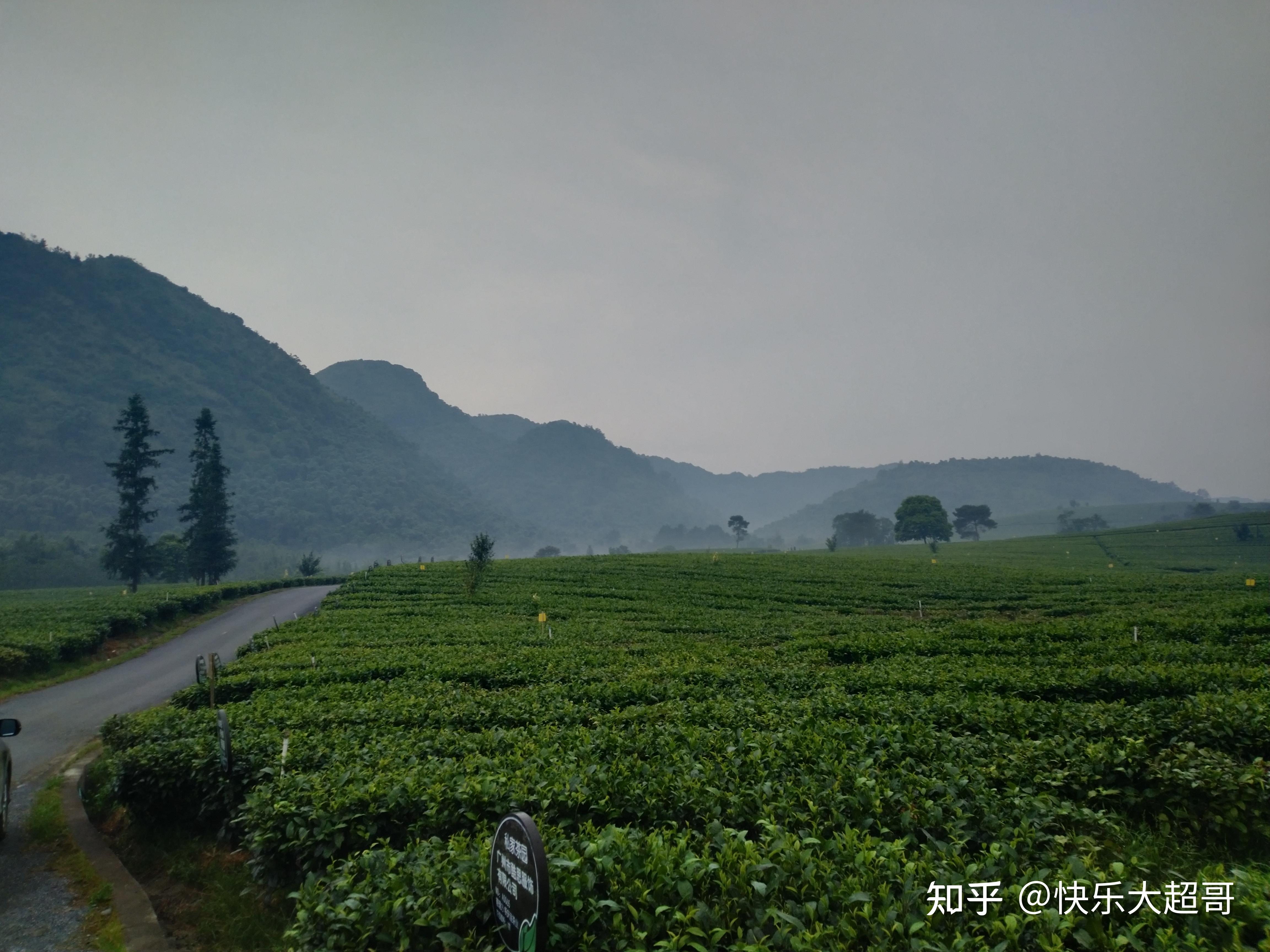 超哥旅行记英德仙湖温泉旅游度假区