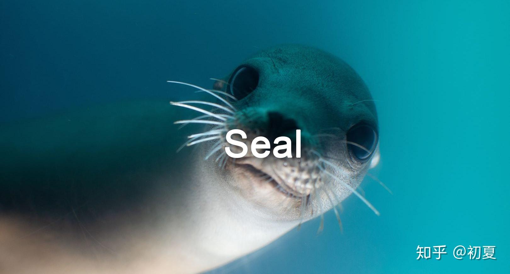 seal - 知乎