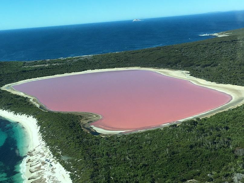 西澳大利亚的粉红回忆南粉湖希利尔湖likehillier