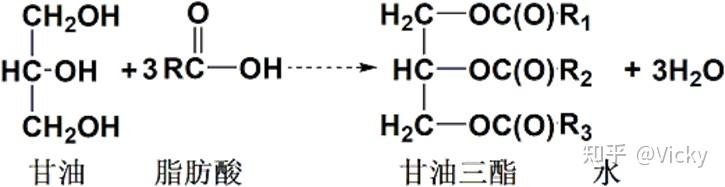 油脂的结构通式图片