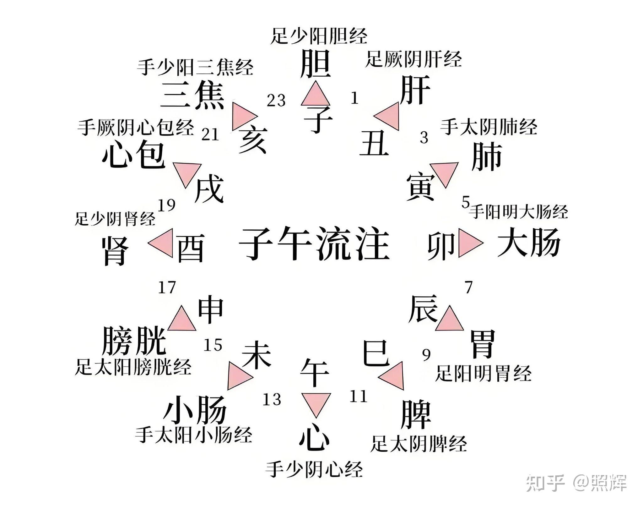 手太阳三焦经络图图片