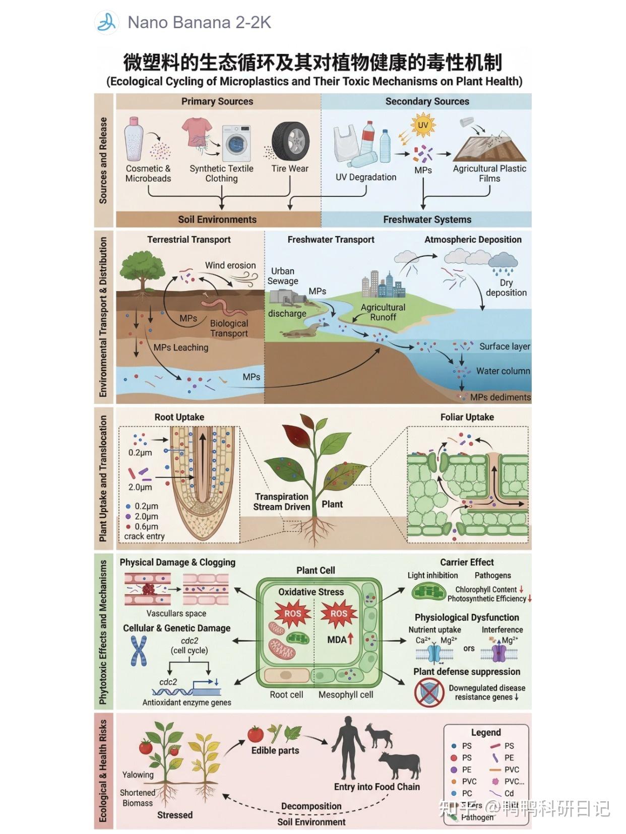 2026年Nano Banana2，掌管科研绘图的神！