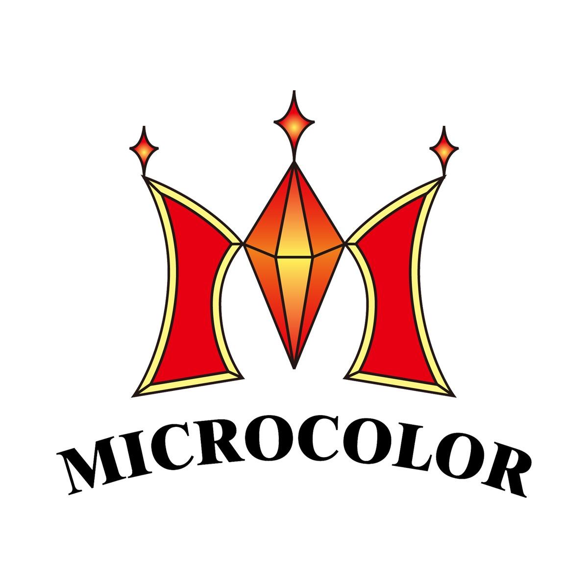 微彩智能科技