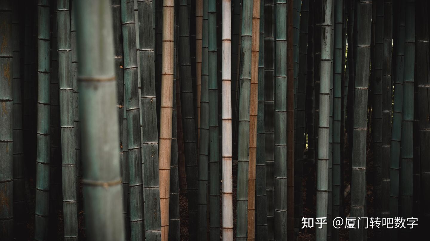 一张纸的变化:用竹浆造纸代替木浆造纸 - 知乎