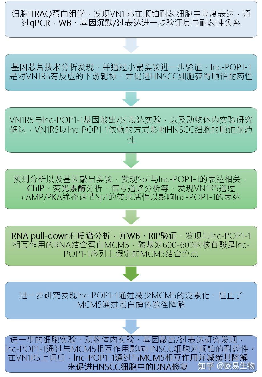 itraqrnapulldownlcmsms对颈部鳞状细胞癌顺铂耐药机制研究