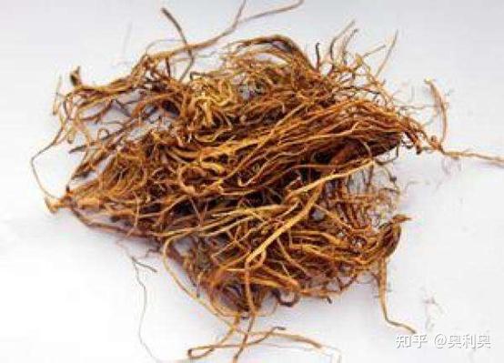 原植物龙胆草鉴别用药:黄芩,黄连与黄柏   同:皆苦寒,而黄连为苦寒之