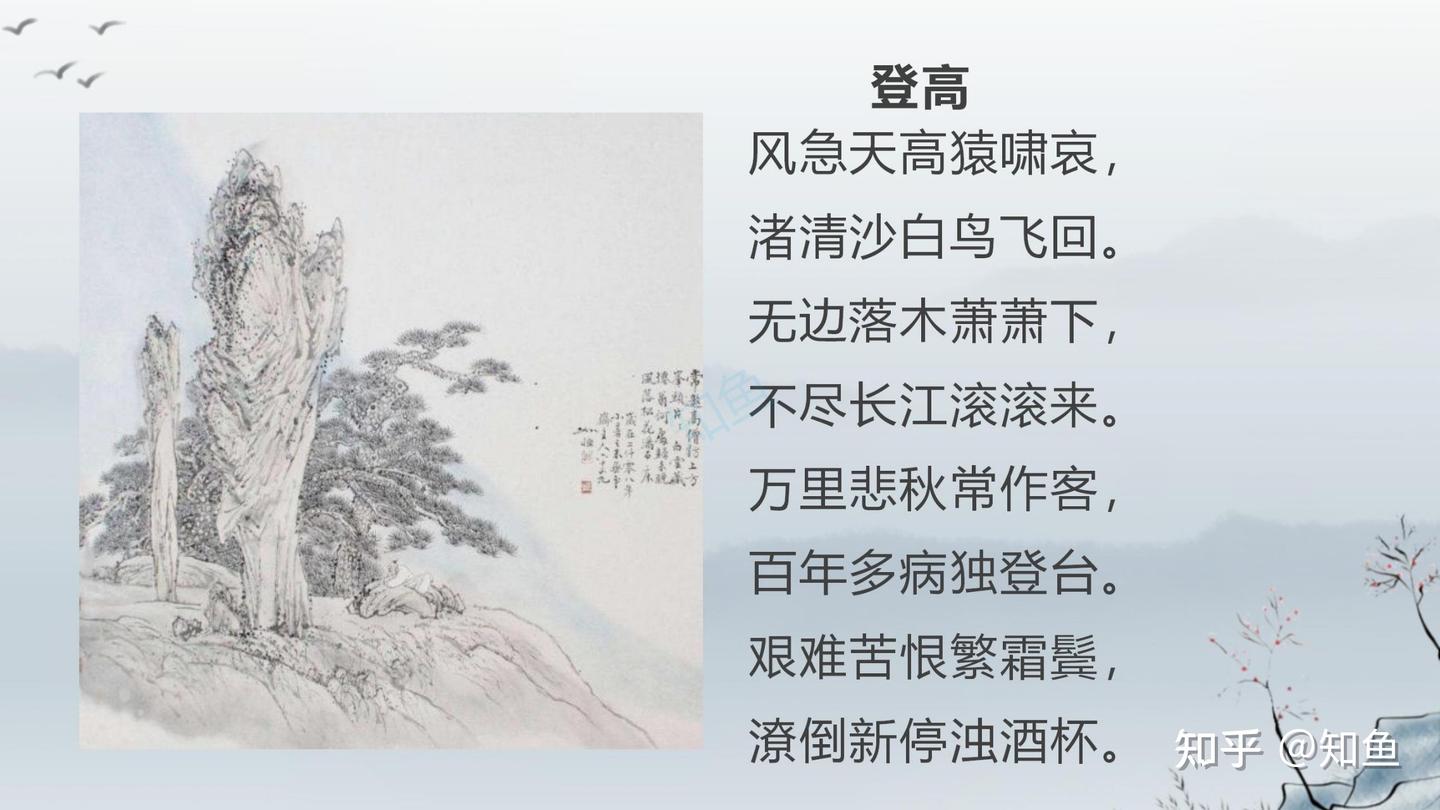 每天打卡一首诗(🌷3) - 知乎