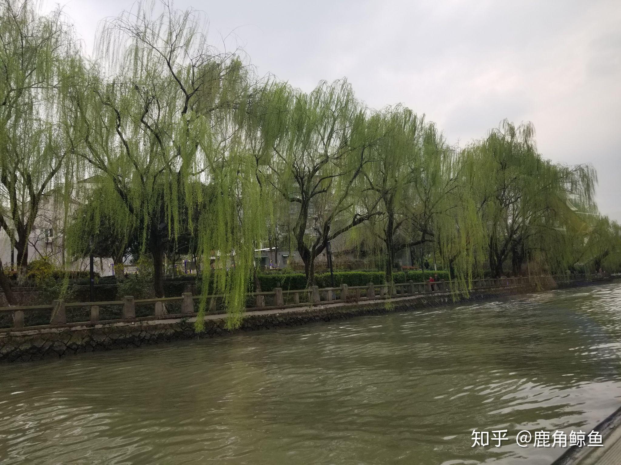 杭州有什么好玩的地方?