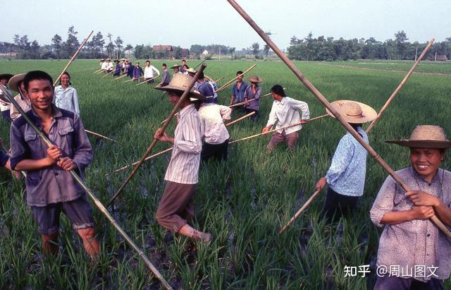 一組70年代的老照片