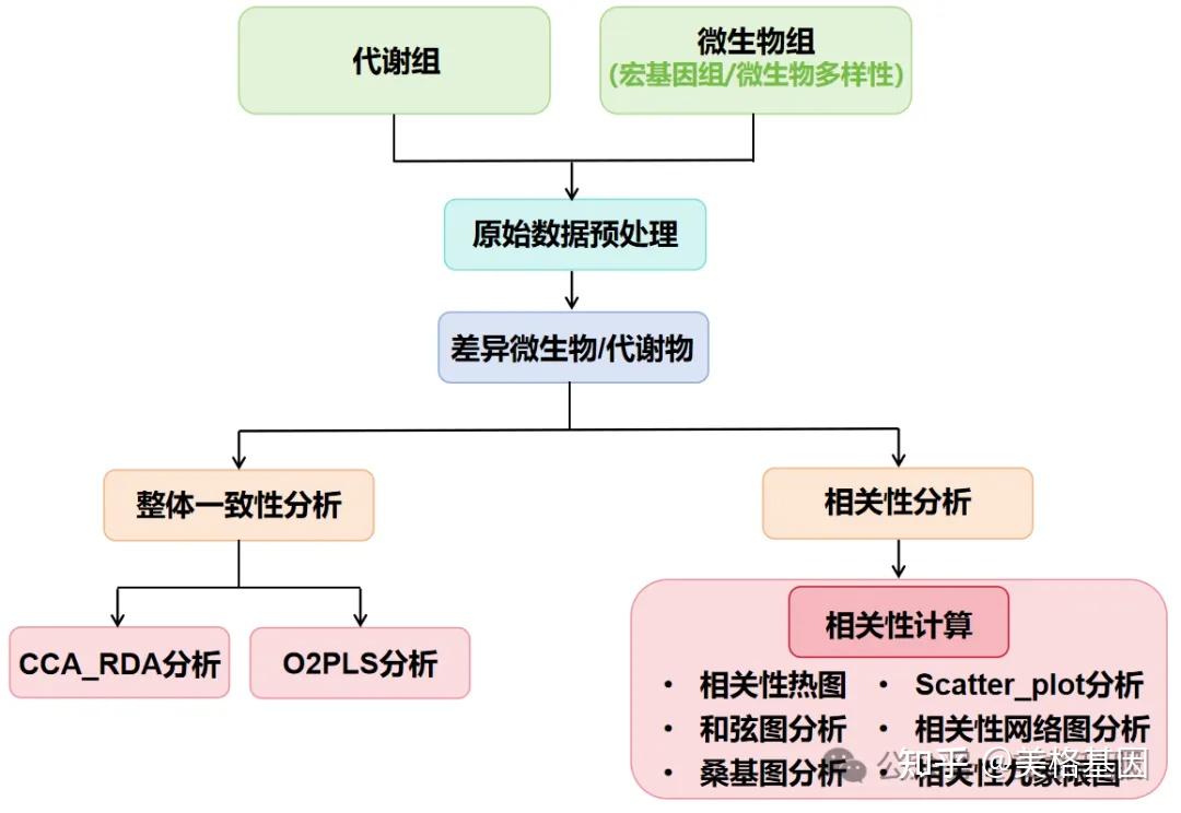 菌群代谢密码一键破译！代谢组与微生物组关联云分析重磅来袭- 知乎