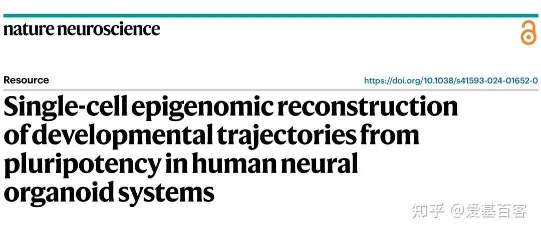 Nature Neu | 单细胞CUT&Tag+单细胞RNA-seq+类器官解析发育动态过程的表观遗传机制 - 知乎