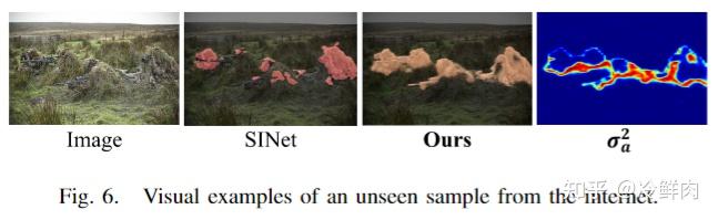 【阅读笔记】Predictive Uncertainty Estimation for Camouflaged Object ...