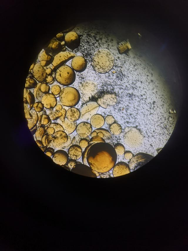 图1树脂碎片,黑色的即是碳粉图2 树脂颗粒已经出现明显裂纹,存在破碎