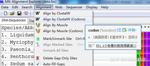 实用干货教程！学会用PAML计算选择压力 - 知乎