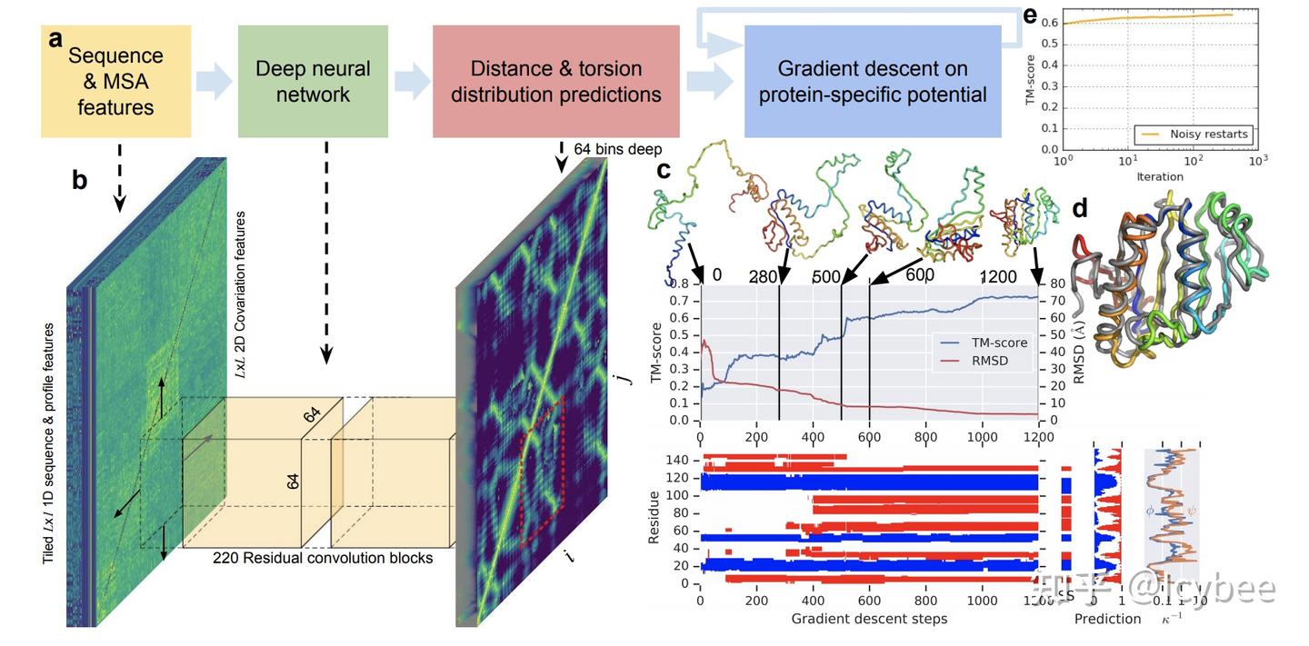 深入剖析AlphaFold算法 - 知乎