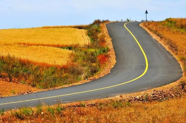 汉字里的中国——道和路的区别